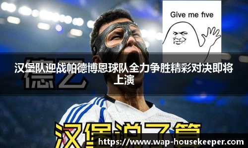 汉堡队迎战帕德博恩球队全力争胜精彩对决即将上演