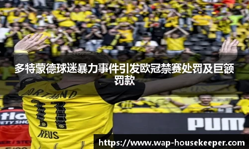 多特蒙德球迷暴力事件引发欧冠禁赛处罚及巨额罚款